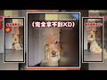 狗狗發現櫃子下有零食　狂伸手卻拿不到快氣鼠XD