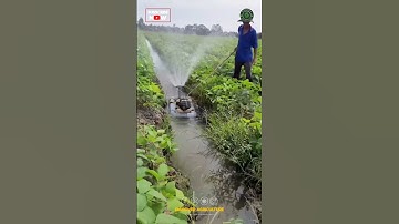 Canal Boat Irrigation System