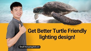 Sea Turtle-Friendly Lighting Guide! Saving wildlife from Extinction!!!