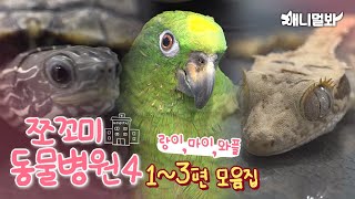 [쪼꼬미 동물병원4] 시즌레전드모음~ㅣ[Animal Hospital for Tiny Animals Season 4] Compilation of Ep 1 to 3