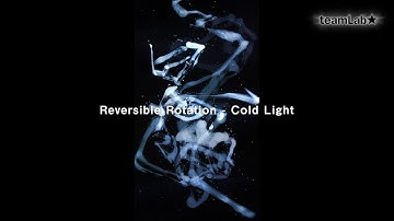 Reversible Rotation - Cold Light