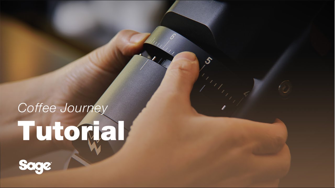 Coffee Tutorials Coffee grinders and how they work Sage Appliances