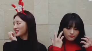 [SUAYEON] SuA & SiYeon Cute + Funny Moments Part 3