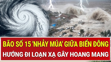 🔴 Trực tiếp: Bão số 15 