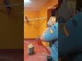 Guardia Civil investiga a vecino de provincia de Córdoba por la tenencia ilegal de un guacamayo rojo