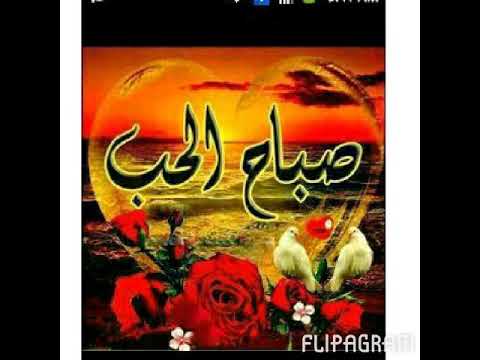 يا طير يا ماشي لي اهلنا