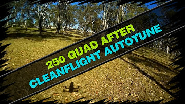 250 quadcopter after cleanflight autotune