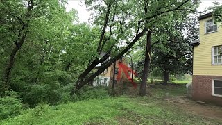 Emergency job tree was about to destroy this house