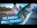 Oklahoma Wall Striper Fishing at Denison Dam !!