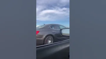 Ohhh What A Peasant Maserati Ghibli Thought He Could Match With The Cat 