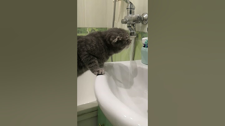 когда мучает жажда 🐈