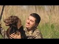 Песня про собаку #Песня про пса #Охотничий пес - Павел Салаш #Новый клип на авторскую песню Шансон