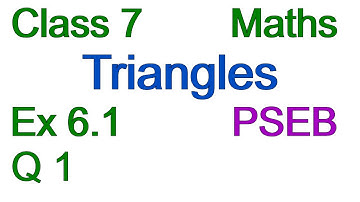 Q1 | Ex 6.1 | Class 7 | Chapter 6 | Triangles | PSEB | Maths
