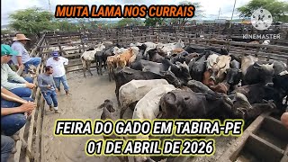 FEIRA DO GADO DE TABIRA-PE  COM MUITA LAMA NOS CURRAIS DIA 01/04/2026