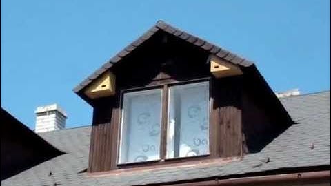 Swifts attracted to boxes by recordings