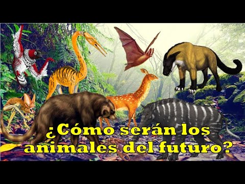 Video: ¿Una vida futura para los animales?