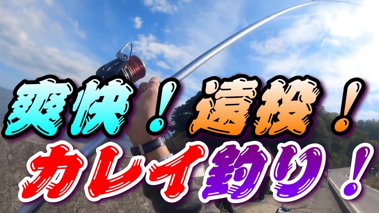 今シーズン初カレイ釣り！カレイの釣れる前兆現象？？