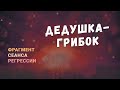 Регрессии. Открытия. Возможности. Результаты. "Дедушка грибок"