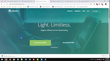 What is Torrent and How to Use Torrents - Urdu/Hindi