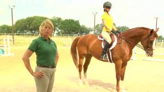 How To Ride a Horse How To Ride a Horse