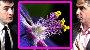 What is life? | Sara Walker and Lee Cronin and Lex Fridman