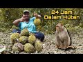 24 Jam Dalam Hutan Sambil Cari Durian