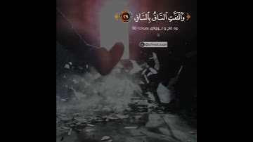 تلاوة مبكية و خاشعة للقارئ يوسف العيدروس من سورة القيامة راحة نفسية حالات واتس آب دينية