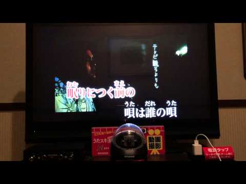 歌ってみた　BEGIN   三線の花