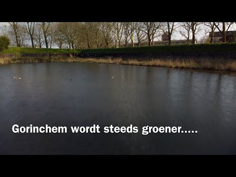 Gorinchem wordt steeds groener