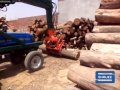 Shrijee Wood Log Loader