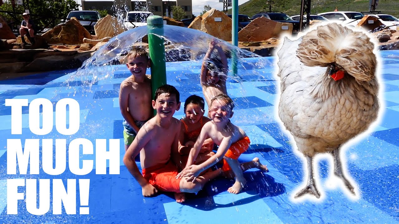 ULTIMATE SUMMER DAY FEEDING FARM ANIMALS AT THE RANCH AND SPLASH PAD ULTIMATE SUMMER DAY FEEDING FARM ANIMALS AT THE RANCH AND SPLASH PAD