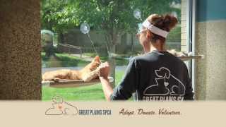 Great Plains SPCA: Adopt, Donate, Volunteer