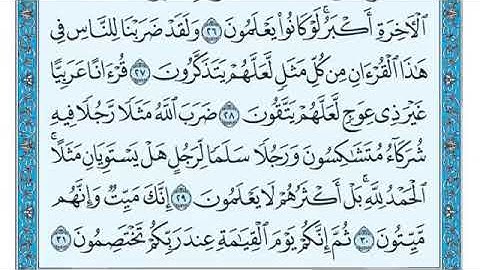 سورة الزمر مكتوبه بصوت القارئ الشيخ ماهر المعيقلي #قرآن#قران_كريم #القران_الكريم