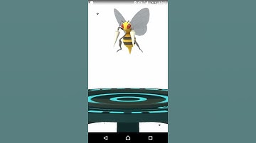 Kakuna evolving into Beedrill on Pokemon Go.