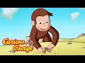 Curious George ☀️ George's Summer Holidays ☀️ Kids Cartoon 🐵 Kids Movies 🐵 Videos for Kids image