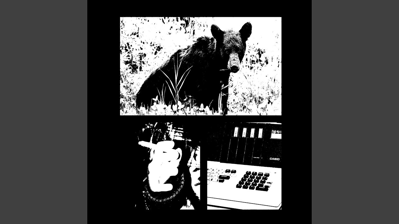 Watch Black Bear on YouTube Watch Black Bear on YouTube