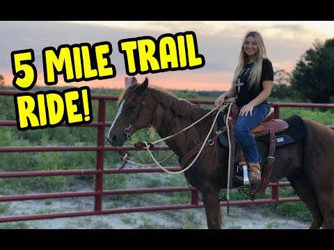 Riding My Horse on a Trail Ride! | Horse Riding