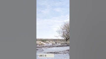 Advent Scriptures- Day 9 #shorts