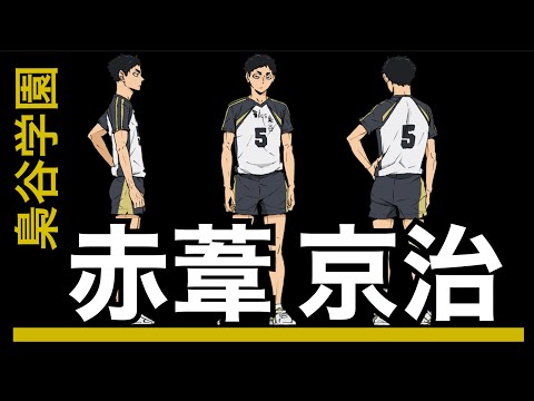Talking about the appeal of Akaashi Keiji [Haikyu!!]