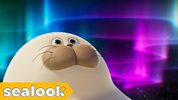 Not a Single Brain Cell Needed | Compilation to Zone Out | SEALOOK Official