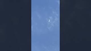 Josh Jarn Jro #fypシ #shortsfeed #shorts #moon #sky #outside #memes #josh #video #ytshorts #yt