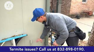 Could your home be vulnerable to termites? Full Scope Pest Control explains