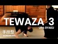 Taijutsu: Basic grappling techniques of the Kukishin Ryu Dakentaijutsu