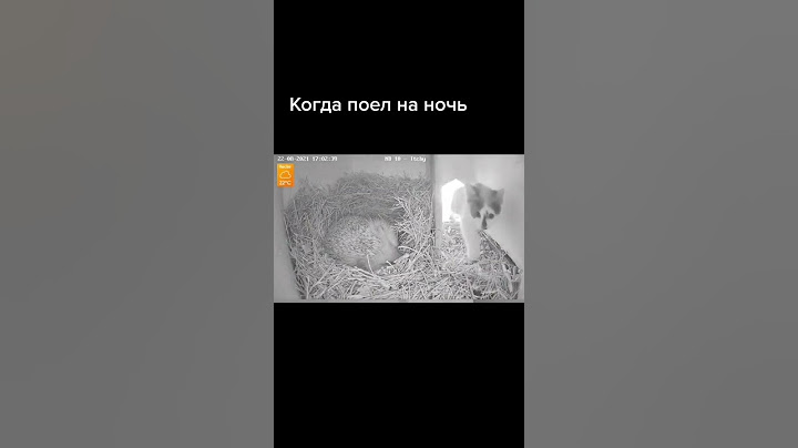 Когда поел на ночь