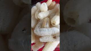 FROM FARM TO SYSTEM | Loofah Viet Nam
