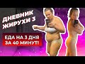 [Дневник Жирухи] Еда на три дня за 40 минут. Выпуск 3.