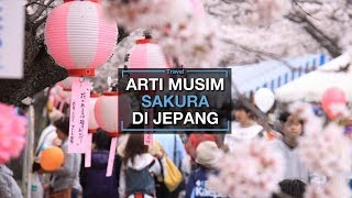 Hanya Mekar 1 Minggu dalam Setahun, Ini Arti Musim Sakura Bagi Masyarakat Jepang