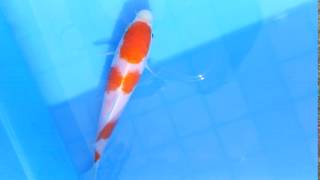 DSCF3256