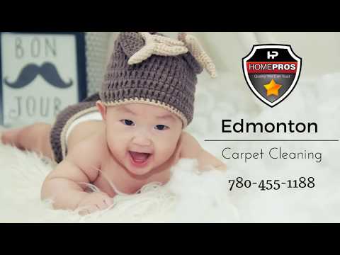 Edmontoncarpet Com