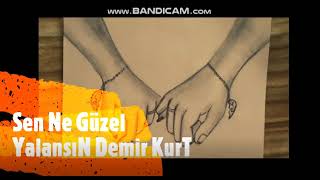 Sen Ne Güzel Bir Yalansın - Demir Kurt